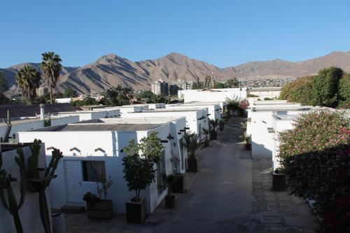 Oasis de Atacama