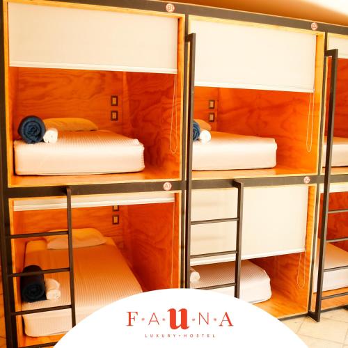 Fauna Luxury Hostel