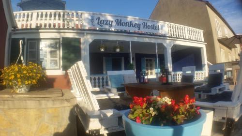 The Lazy Monkey Hostel