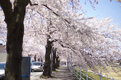 Tendo Grand Hotel Maizuru-so