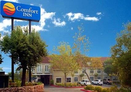 Comfort Inn Central Auburn