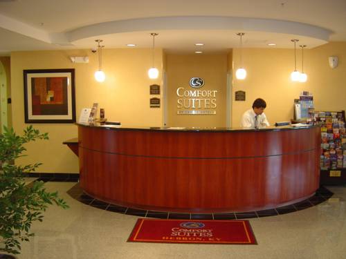 Comfort Suites Cincinnati Airport