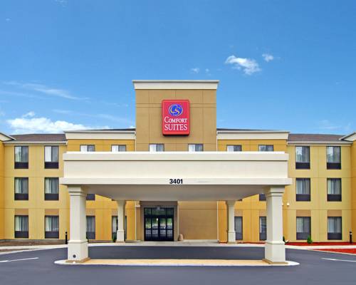 Comfort Suites Vestal