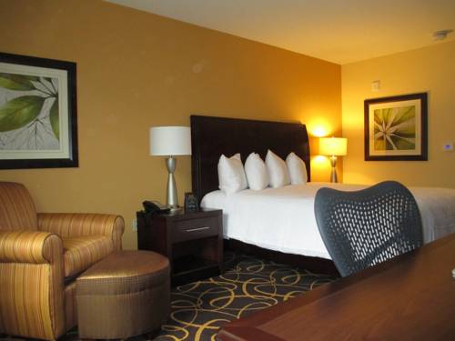 Hilton Garden Inn Shreveport Bossier City