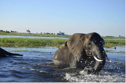 Zambezi Sun