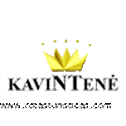 Kavintene