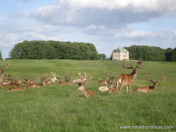 Københavns Golf Klub