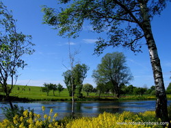  Hammel Golf Club