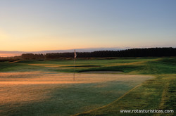 White Beach Golf