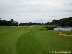  Carrickmines Golf Club