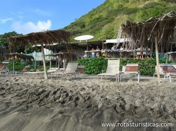 Ship Wreck Beach Bar & Grill