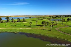 Campo da golf Salgados