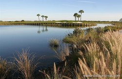 The Rookery at Marco